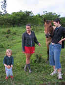 Volunteering at farm of Sabine's Smiling Horses