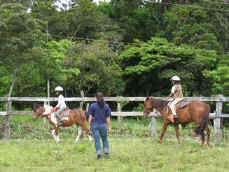 Volunteering in Monteverde Costa Rica