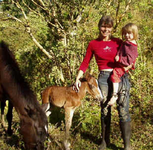 Happy foal in Monteverde Costa Rica born