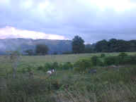horse pasture