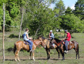 Sabine's Smiling horses - horseback riding Costa Rica