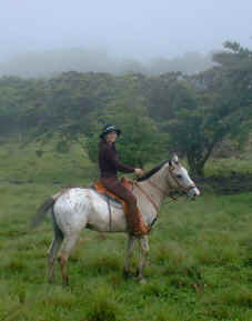 horse Apache in Monteverde Costa Rica Cloud Forest